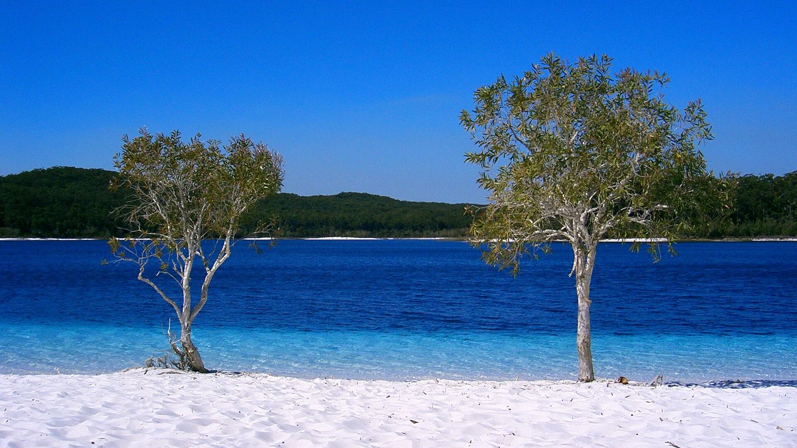 K'gari (Fraser Island)