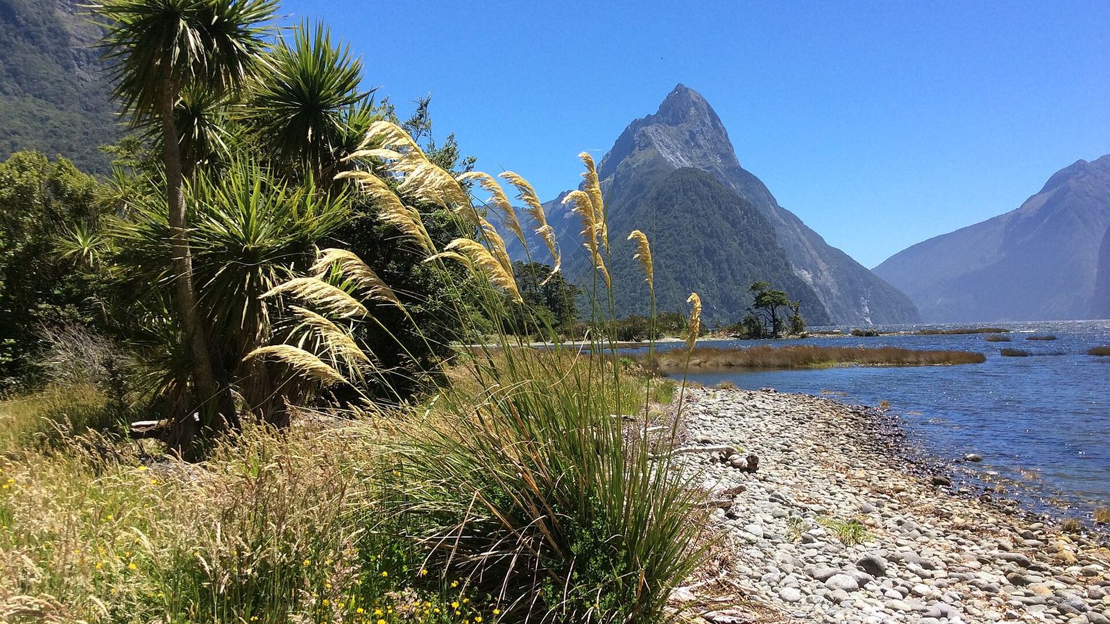 New Zealand