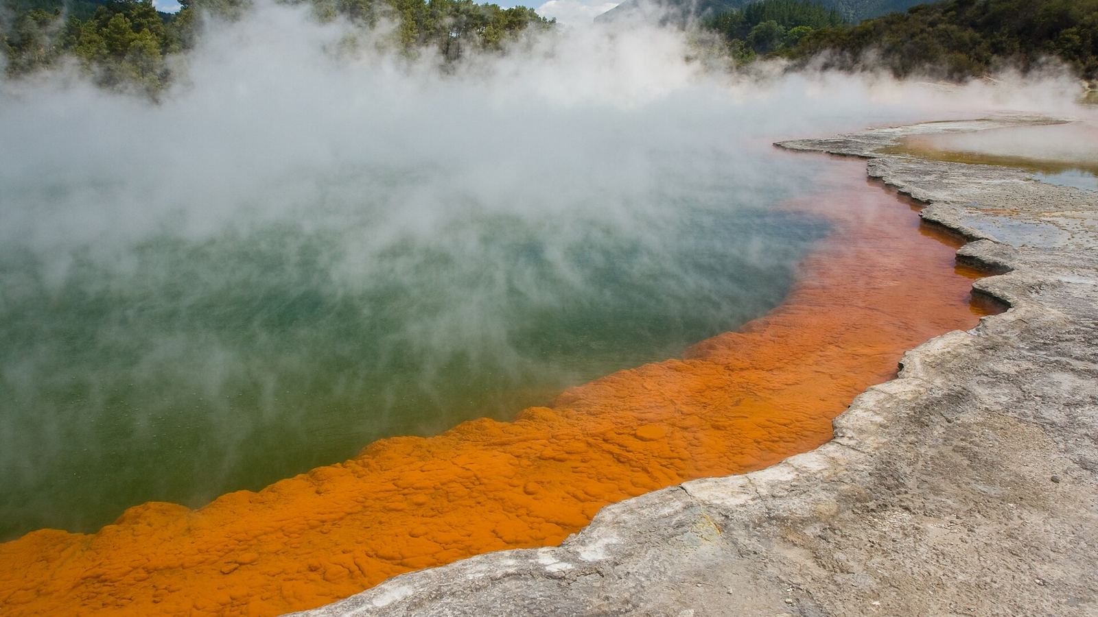 Rotorua
