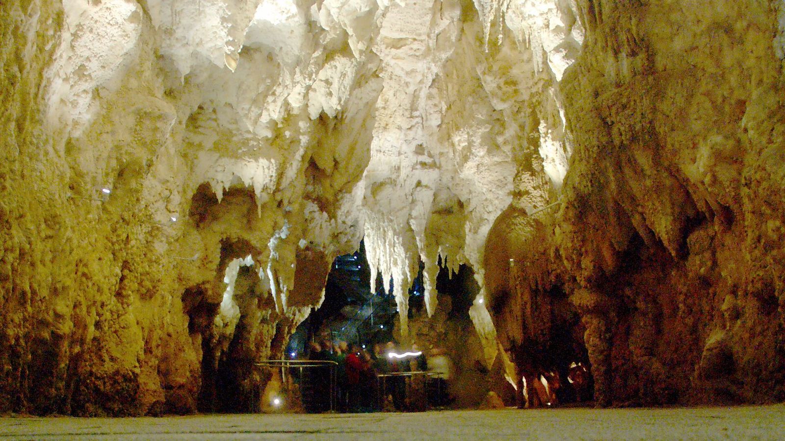 Waitomo Glowworm Caves